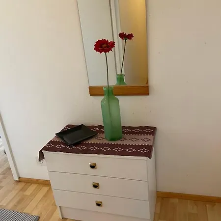 Apartment Oikokatu *
